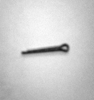D06031