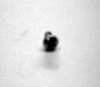 D116-6R4