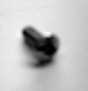D116-8R6