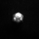 D16419