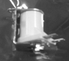 D18116