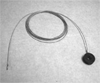 D19100081