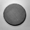 D24000008