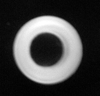 D24400066