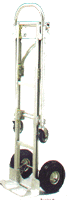 DS1250