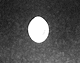 D20097