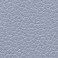 DS209G