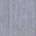 DS209J