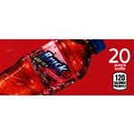 DS42BRIT20 - Brisk Raspberry Iced Tea Label (20oz Bottle with Calorie) - 1 3/4" x 3 19/32"