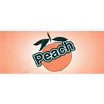 DS42GPE - Generic Peach Label - 1 3/4" x 3 19/32"