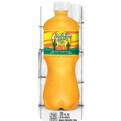 DS33CACO20 - Royal Chameleon Cactus Cooler Label (20oz Bottle with Calorie) - 3 5/8" x 10"