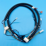 D80492126001 - Fastcorp Door Switch Harness