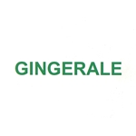 DS25GGA - Generic Ginger Ale Label - 2 5/16" x 3 1/2"