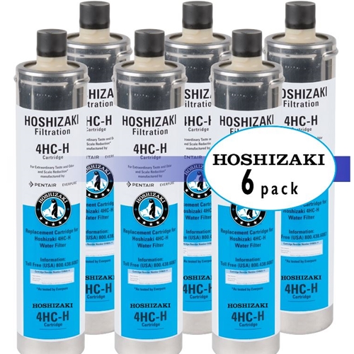 D & S Vending Inc - H9655-06 - Hoshizaki Water Filtration System