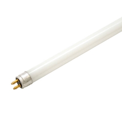 D & S Vending Inc - F12/24 - Inch Light Bulbs Case of 24- Thin