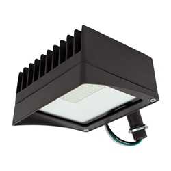 DS2696 - CLEANLIFE® LED Flood Light 30W 5000K - Knuckle Mount