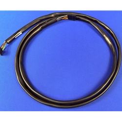 D80493050 - DN 5800-6 I/O Board to X Motor Harness